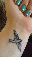 Bird Tattoo Designs Cartaz