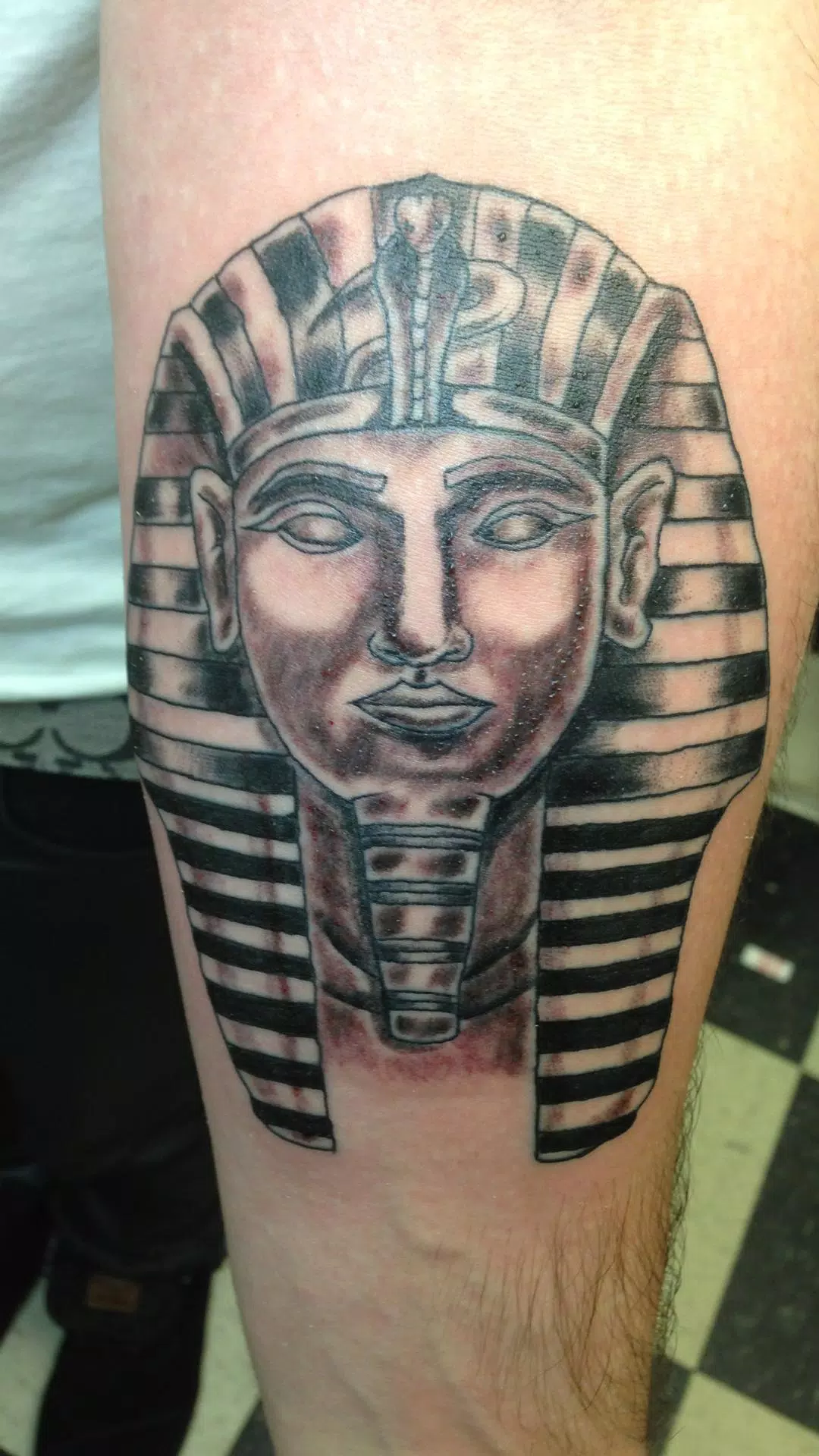 Egyptian Tattoo Designs APK for Android Download Egyptian Tattoo Designs APK for Android Download