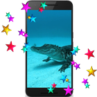 Alligator HD Video LWP icône