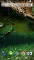 2 Schermata Alligator Live Wallpaper