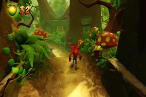 Crash Bandicoot Tips Poster