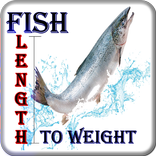 Fish Length to Weight Calc