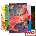 4K HD Wallpapers & Backgrounds