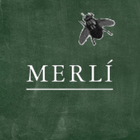 Merlin - Tu Personaje icône