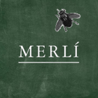 Merlin - Tu Personaje simgesi