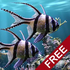 The real aquarium - LWP APK download