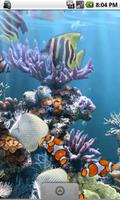 The real aquarium - LWP পোস্টার