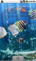 The real aquarium - LWP স্ক্রিনশট 2