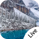 Alpine Lakeside In Winter Live Wallpaper APK