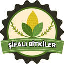 Şifalı Bitkiler & Bitkisel Tedavi ile Zayıflama APK