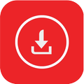 Video Downloader Pro