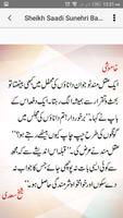 Sunehri Batain by Sheikh Saadi 截圖 3