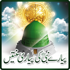 Pyaray Nabi ki Pyari Sunateen ไอคอน