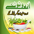 Urdu Totkay ikona