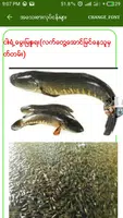 အ​ေသးစားစီးပြား​ေရးလုပ္​ငန္​းမ်ား capture d'écran 1