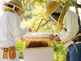 The beekeeping screenshot 2