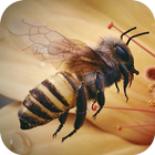 Apis Bee 4D Live Wallpaper ikona