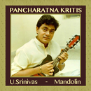 Pancharatna Kritis - Mandolin APK