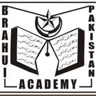 Brahui Academy ícone