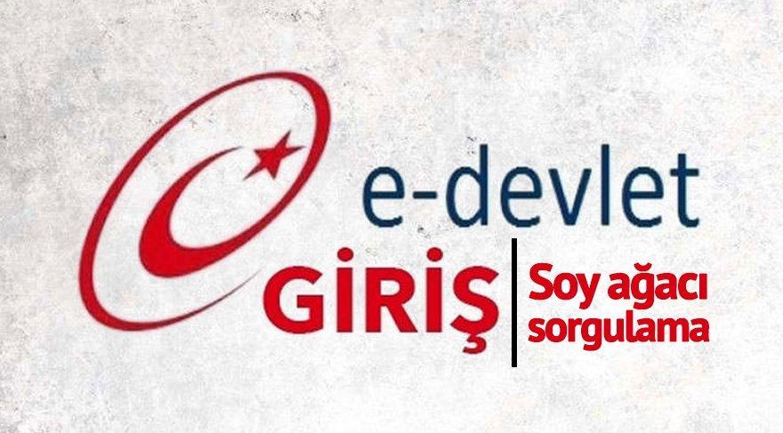 Soyagaci Bulma E Devlet For Android Apk Download Soyagaci Bulma E Devlet For Android Apk Download
