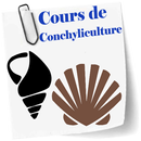 Cours de Conchyliculture APK