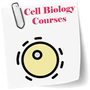APK Cell Biology course