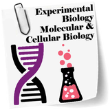 Experimental Biology Molecular icon