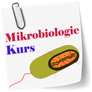 Mikrobiologie-Kurs APK