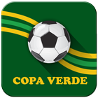 Futebol Copa Verde 2016 biểu tượng
