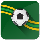Futebol Mineiro 2016 icône