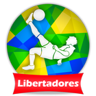 Icona Futebol Libertadores