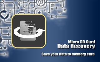 Micro SD Card Data Recovery Affiche