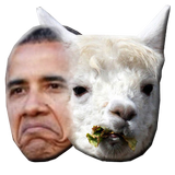 Obama or a Llama icône