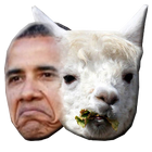 Obama or a Llama icon