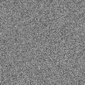PerNitus