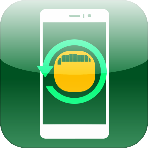 SD Card Recovery File
