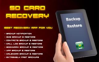 SD Card Recovery File Affiche