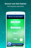 Recover Lost Data Deleted الملصق