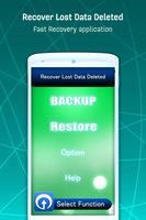 Recover Lost Data Deleted plakat