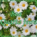 Boa quarta feira - imagens APK