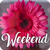 Happy Weekend APK