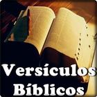 Versículos bíblicos 아이콘