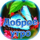 доброе утро aplikacja