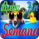 Buen fin de Semana aplikacja
