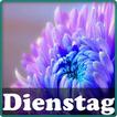 Dienstag