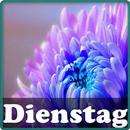 Dienstag aplikacja