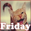 Friday aplikacja