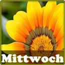 Mittwoch aplikacja