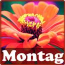 Montag APK