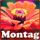 Montag ikona